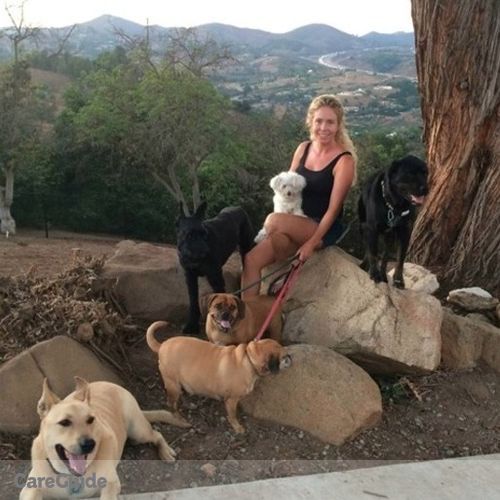 Pet Care Provider Tiffany DeMichele's Profile Picture