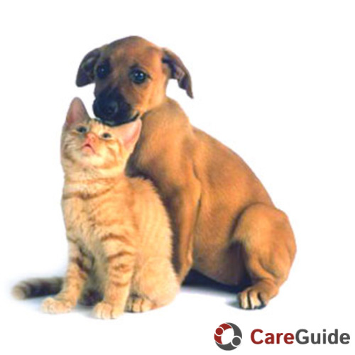 Dog-cat