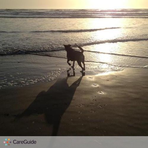 Pet Care Provider Debi B's Profile Picture