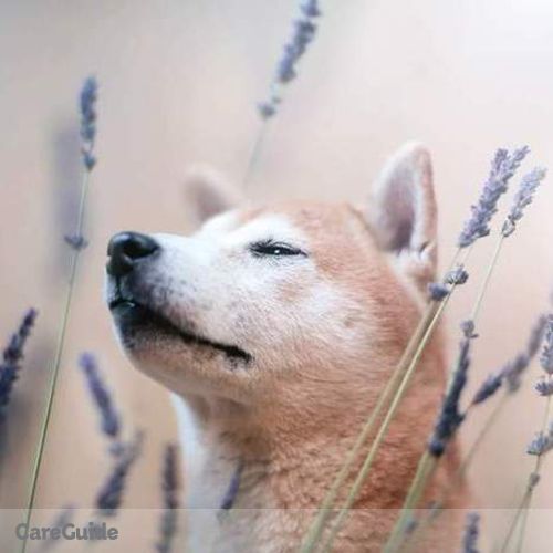 Pet Care Provider Alexandra Walden's Profile Picture