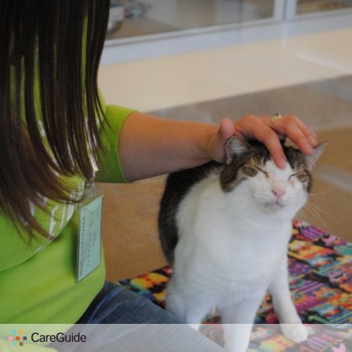 Pet Care Provider Katherine Borino's Profile Picture