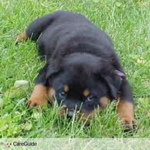 Pet Care Provider Thomas Nguyen's Profile Picture