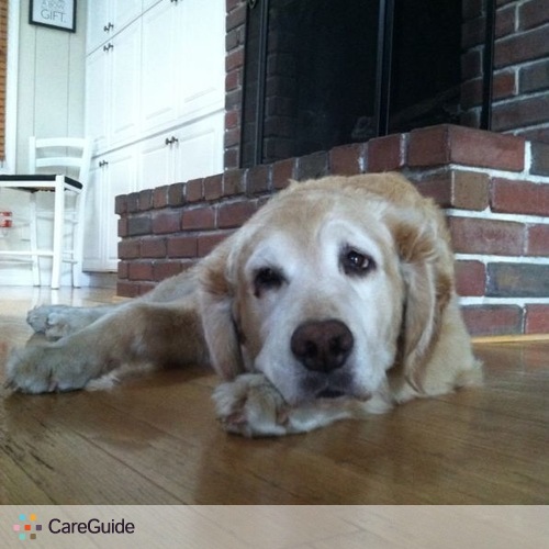 Pet Care Provider Corey Homewood's Profile Picture
