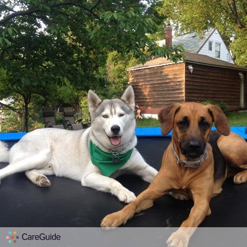 Pet Care Provider Char D's Profile Picture