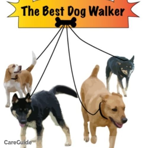 Pet Care Provider Bobby Neil's Profile Picture
