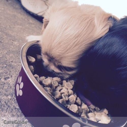 Pet Care Provider Harley Farmer's Profile Picture