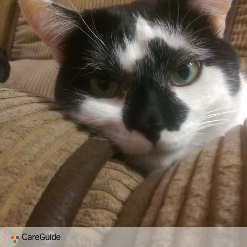 Pet Care Provider George Blystone's Profile Picture