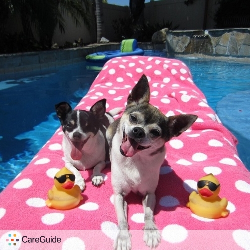 Pet Care Provider Sabrina Wilkerson's Profile Picture