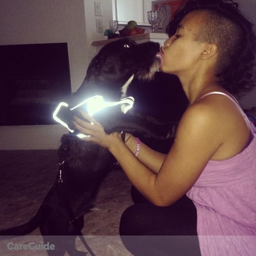 Pet Care Job Josie Watson's Profile Picture
