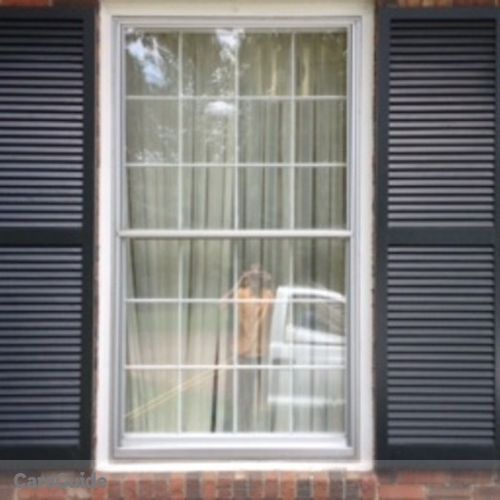 Housekeeper Provider Advance Detail Window Cleaning Services's Profile Picture