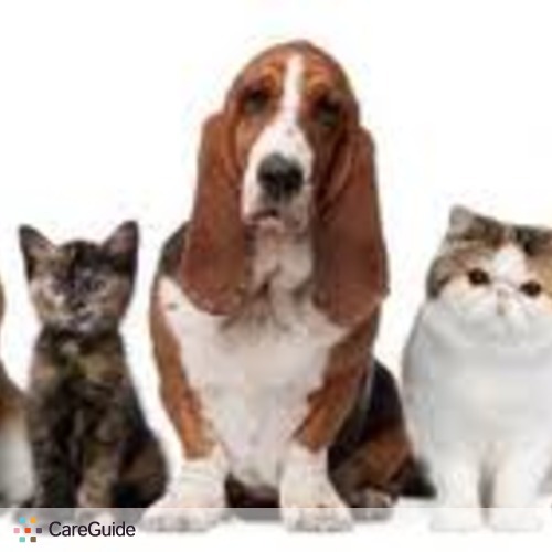 Pet Care Provider love to take care of your pet 's Profile Picture
