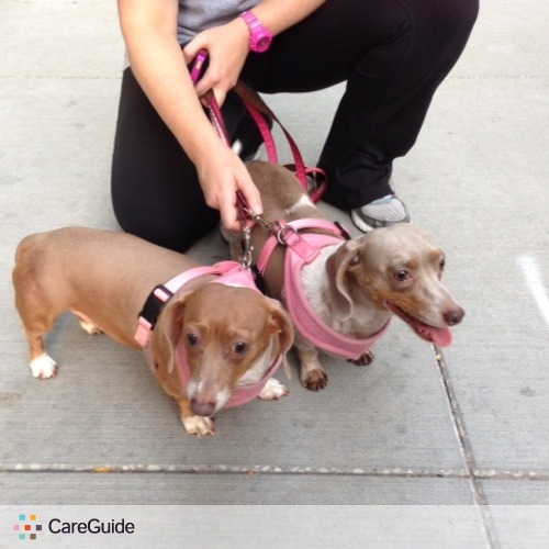 Pet Care Provider Sara Moser's Profile Picture