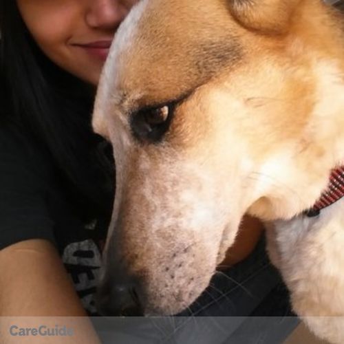Pet Care Provider Monica C's Profile Picture