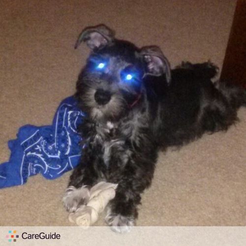 Pet Care Provider Alicia Snow's Profile Picture