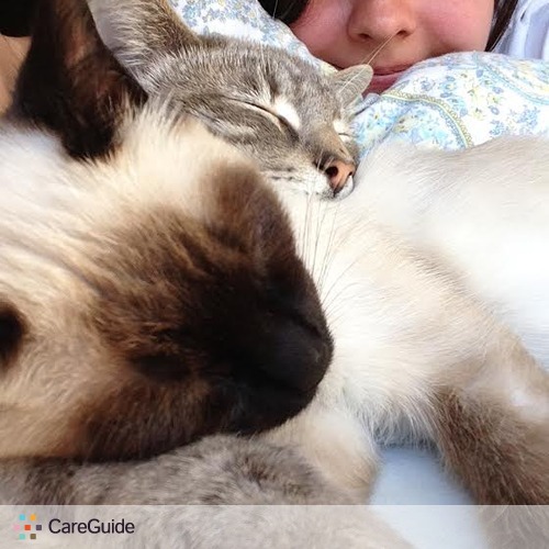 Pet Care Provider Shelly Nonus's Profile Picture