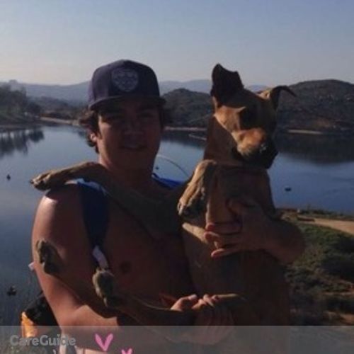 Pet Care Provider Jackson Costlow's Profile Picture