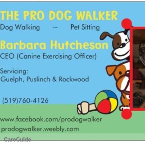House Sitter Provider Barbara Hutcheson's Profile Picture