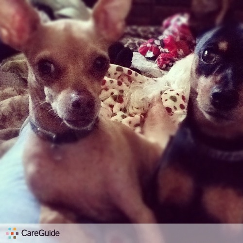 Pet Care Provider Alexandra Stuardo's Profile Picture