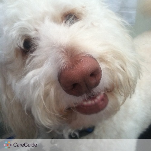 Pet Care Provider Zuri Bethea's Profile Picture