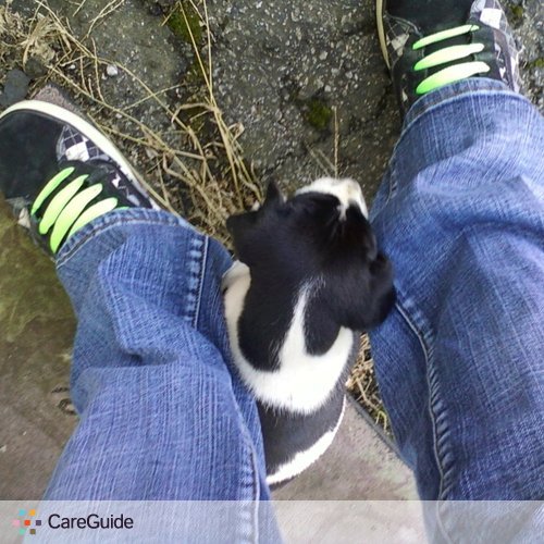 Pet Care Provider Kaleb Alsip's Profile Picture