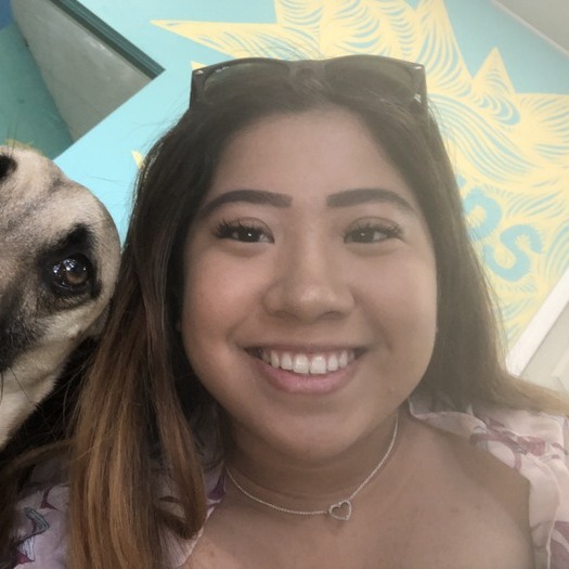 Pet Sitting Offered in Los Angeles Dog Walker, Pet Sitter in Los