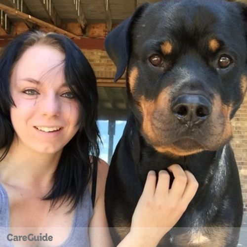 Pet Care Provider Katie Jo Hug's Profile Picture