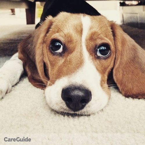 Pet Care Job Laura Torres's Profile Picture