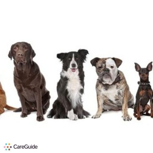 Pet Care Provider Jennifer Medeiros's Profile Picture