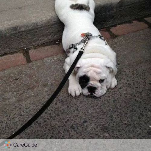Pet Care Provider Alpheila Kerns's Profile Picture