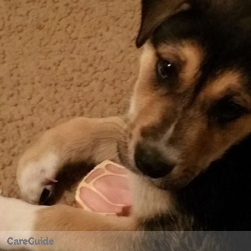 Pet Care Job Sireta Sowell's Profile Picture