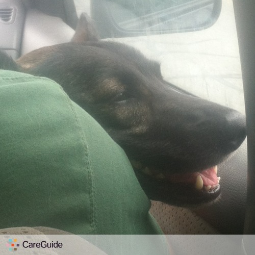 Pet Care Provider Jimmy Deleo's Profile Picture