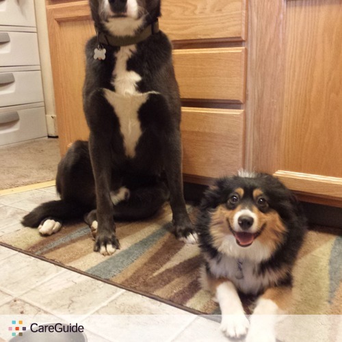 Pet Care Provider Ashley Atkins's Profile Picture