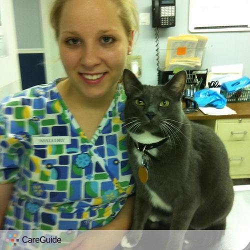 Pet Care Provider Mallory Robinson's Profile Picture