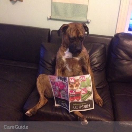 Pet Care Provider Jasmine Jasudavicius's Profile Picture
