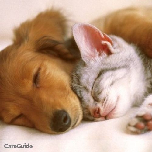 Pet Care Provider Jazzmin McCormick's Profile Picture