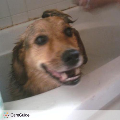 Pet Care Provider Elena Kallas's Profile Picture
