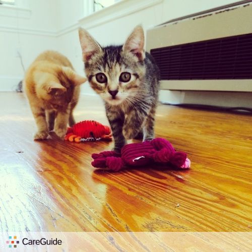 Pet Care Provider Erin Arduino's Profile Picture