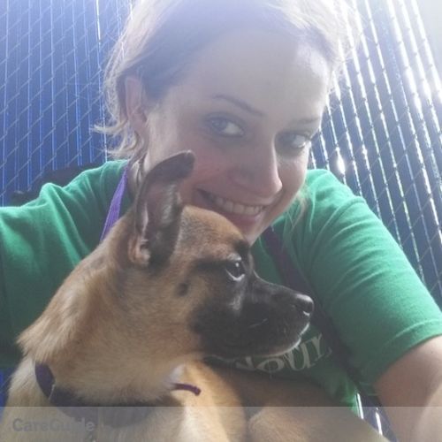 Pet Care Provider Alex Altman's Profile Picture