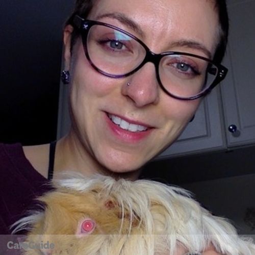 House Sitter Provider Melissa Graf's Profile Picture