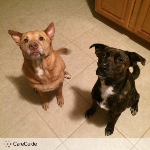 Pet Care Job Nicole Rack's Profile Picture