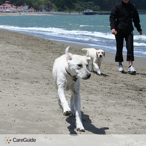 Pet Care Provider Monica Anderson's Profile Picture