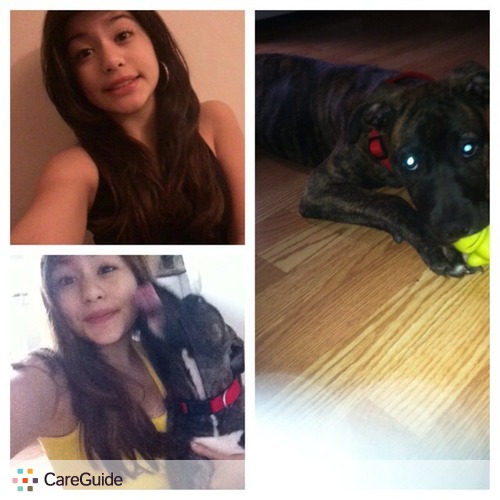 Pet Care Provider Kacie Morales's Profile Picture
