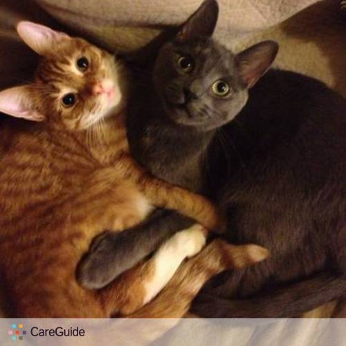 Pet Care Provider Jennifer Forsyth's Profile Picture