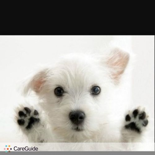 Pet Care Provider Shaun Hardy's Profile Picture