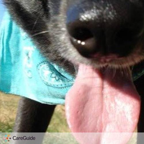 Pet Care Provider Sarah Popek's Profile Picture