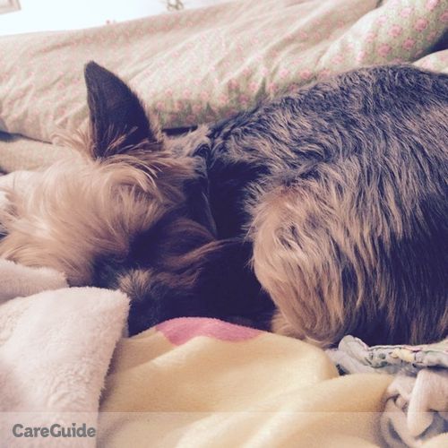 Pet Care Job Jane Cha's Profile Picture