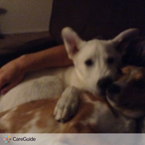 Pet Care Provider Sera Ranville's Profile Picture