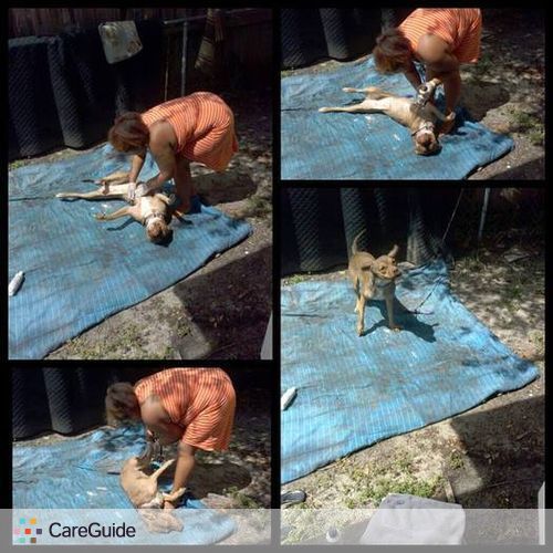 Pet Care Provider Anna Williams's Profile Picture