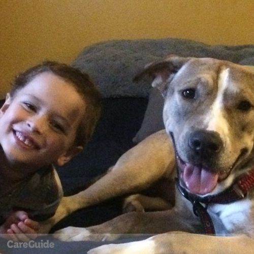 Pet Care Provider Sal Tarin's Profile Picture