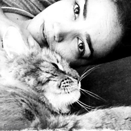 Pet Care Provider Carolyne Logan's Profile Picture